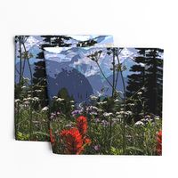 Mount Rainier NP Tea Towel 1