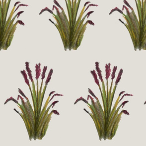 Grasses with red flowers