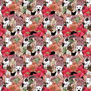 Because Bull Terrier_8x8