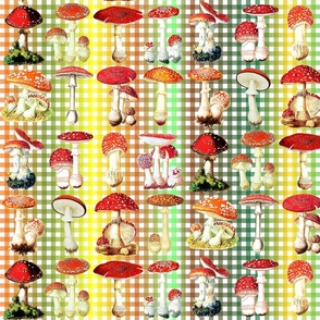 Toadstools on autumn rainbow gingham