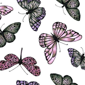 Butterflies - White