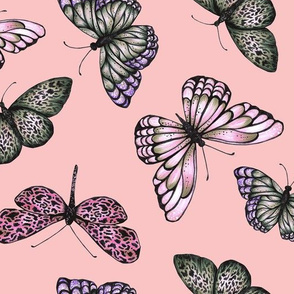 Butterflies  - Blush Pink