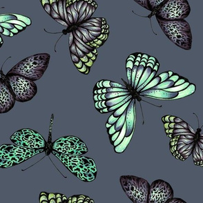 Butterflies - Blue and Green