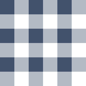 Four Inch Blue Jeans Blue and White Gingham Check