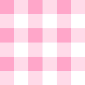Four Inch Carnation Pink and White Gingham Check