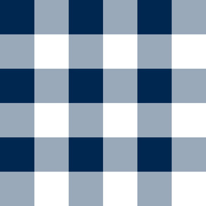 Four Inch Navy Blue and White Gingham Check