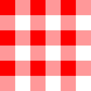 Four Inch Red and White Gingham Check