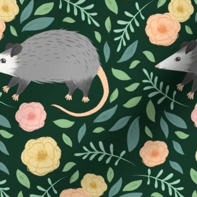 Opossums