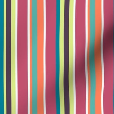 Multicolour stripes-nanditasingh