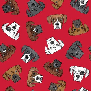 all the boxers - red - C20BS
