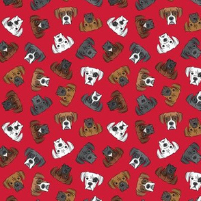 (3/4" scale) all the boxers - red - C20BS