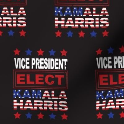 Kamala Harris - Vice President Elect