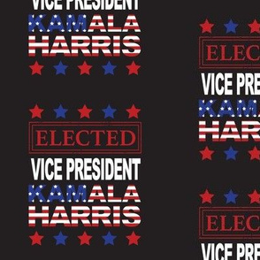 President Elect Joe Biden - Vice President Elect Kamala Harris