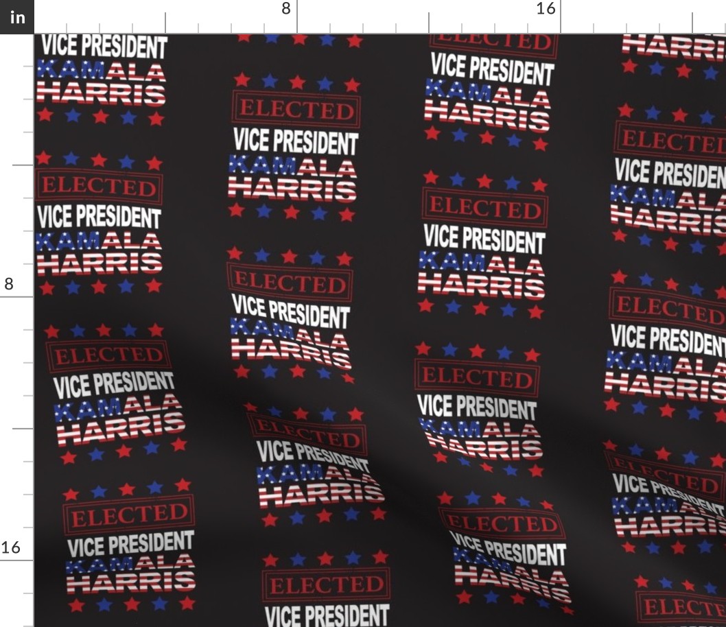 President Elect Joe Biden - Vice President Elect Kamala Harris