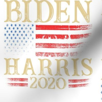BIDEN HARRIS 2020 - Large