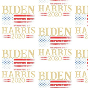 BIDEN HARRIS 2020 - Large
