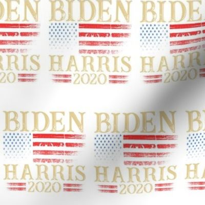 BIDEN HARRIS 2020 - White