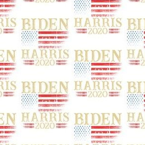BIDEN HARRIS 2020 ELECTION - Small