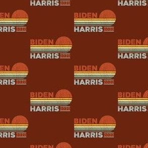 Retro Biden Harris - Small