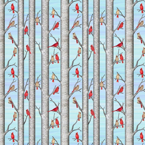 cardinals in birch trees with blue sky