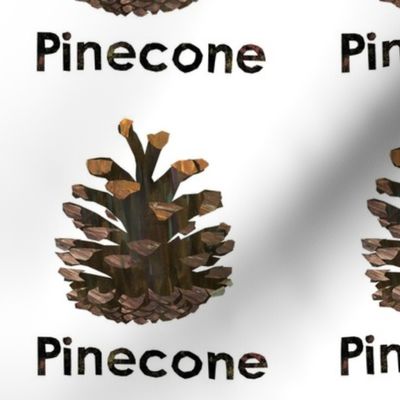 Pinecone  - 6" Panel