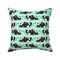 Cute Boston Terrier ZZZ Dog Lovers Gifts Pet Puppy Owner