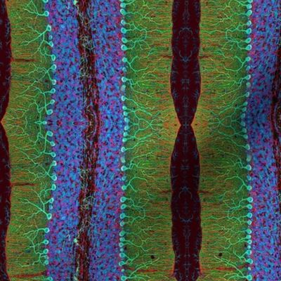 Sliced Brain Cell Stripes small
