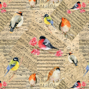 birds on music