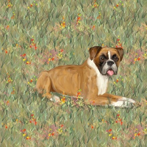 Boxer Dog on Wildflower Field for Pillow