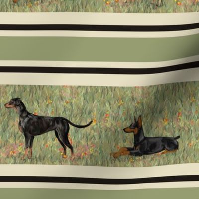 Three Doberman Pinschers on WIldflower Field Stripe