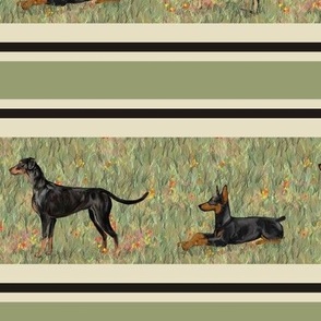 Three Doberman Pinschers on WIldflower Field Stripe