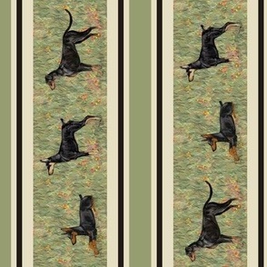 Three Doberman Pinschers on WIldflower Field Stripe Turned