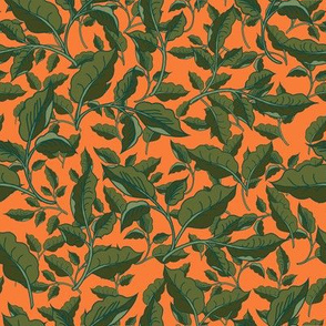 Leaves Orange