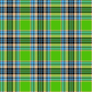 80s childrens plaid green