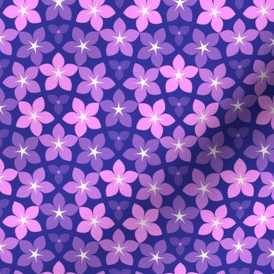 10847238 : U53floral : dreamy