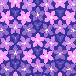 10847238 : U53floral : dreamy