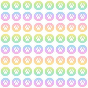 Paw Prints on Rainbow Circles