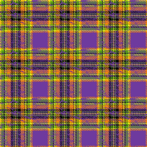 halloween plaid purple worn