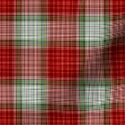 Red and Green Plaid