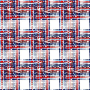 red white and blue plaid white worn