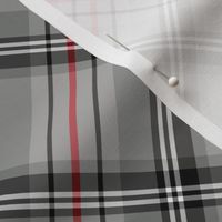 Glen Moy tartan, red stripe, 6" diagonal 