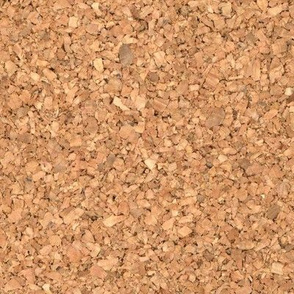 cork board 