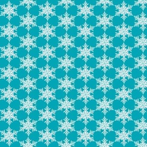 Snowflake on teal