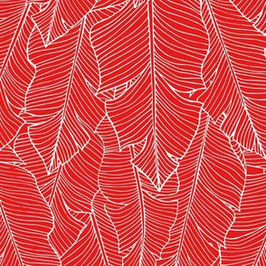 Banana Leaves Line Art - Red and White