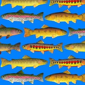 5 Rocky Mountain Trout 2 direction on sea blue big