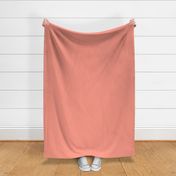 Salmon pink solid color dreamy summer collection