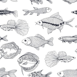 Hand drawn fishes on white