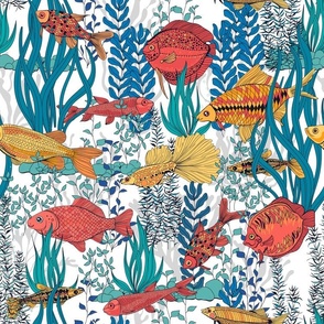 Fish garden on white