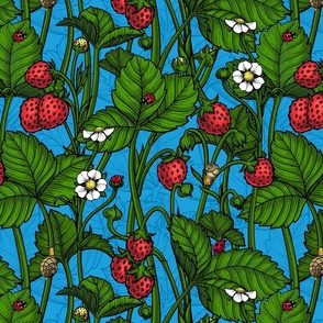 Wild strawberries on blue