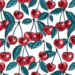 Red cherries on white